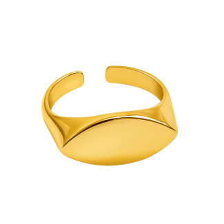 ANEL LISO CHAPA REGULAGEM