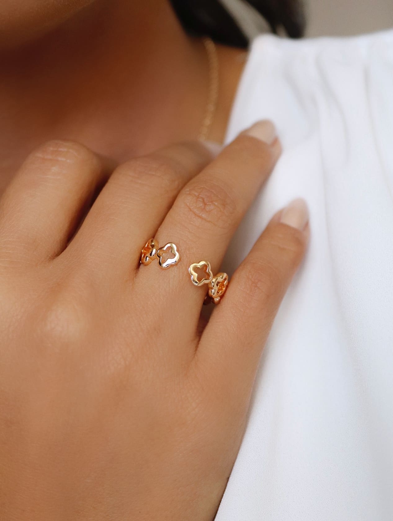 AN 14704 AJUSTAVÉL (1)