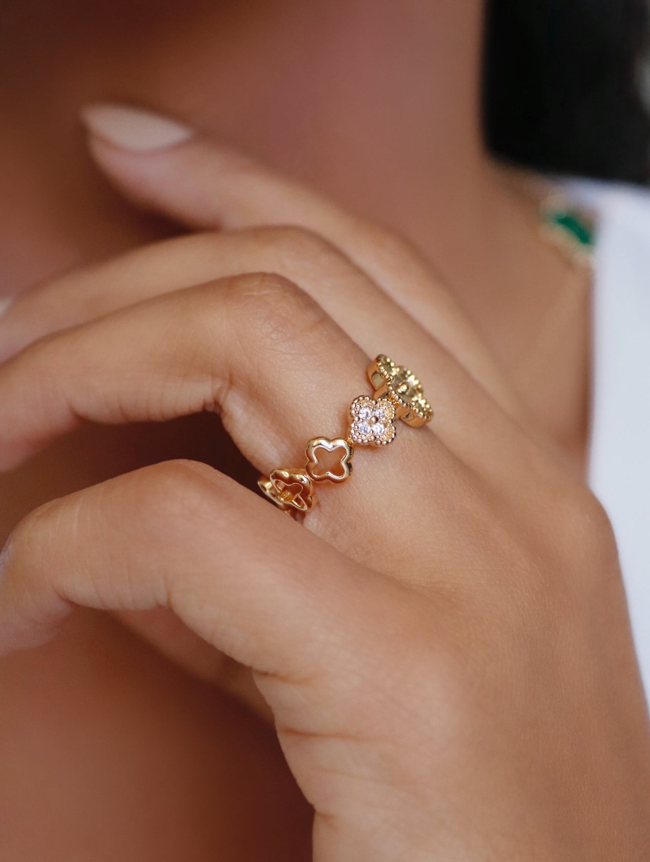 AN 14704 AJUSTAVÉL (3)